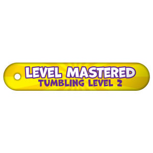 Custom Inline Brag Tags - Level Mastered 2