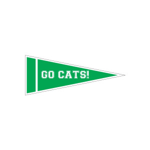 Custom 4  in. x 10 in. Single Color Felt Pennant with Printed Strip