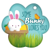 Paw Brag Tags - Some Bunny Loves You