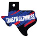 Texas Character Traits Brag Tags - Trustworthiness